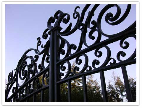 close-up photo of Georgian Arch Top Gate